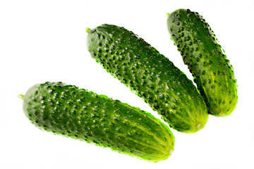 fresh cucumbers isolated on white