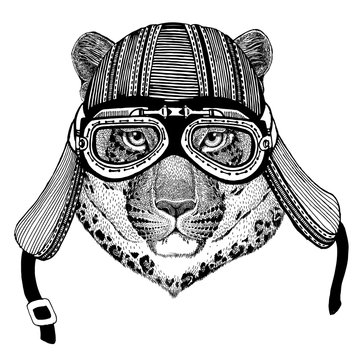 Wild cat Leopard Cat-o'-mountain Panther Hand drawn image of animal wearing motorcycle helmet for t-shirt, tattoo, emblem, badge, logo, patch