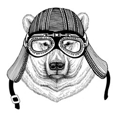 Polar bear Hand drawn image of animal wearing motorcycle helmet for t-shirt, tattoo, emblem, badge, logo, patch