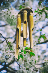 wind chimes hanging in a blooming tree, bamboo chimes in a garden 