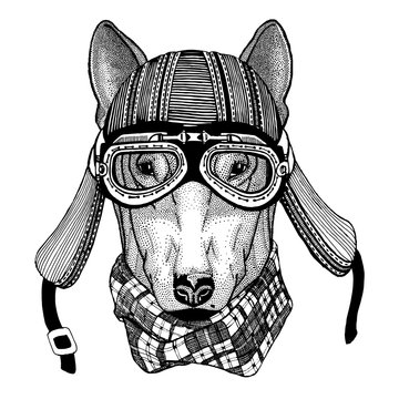 DOG for t-shirt design Hand drawn image of animal wearing motorcycle helmet for t-shirt, tattoo, emblem, badge, logo, patch