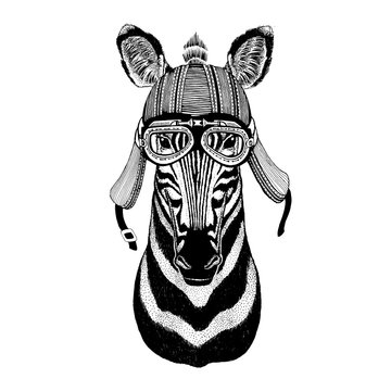 Zebra Horse Hand drawn image of animal wearing motorcycle helmet for t-shirt, tattoo, emblem, badge, logo, patch
