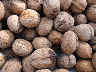 walnut