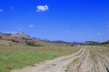 Chemin dans le Fenouillèdes, Pyrénées orientales dans le sud de la France