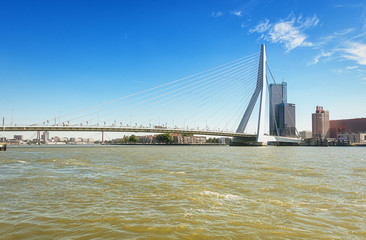 Erasmus bridge in Rotterdam
