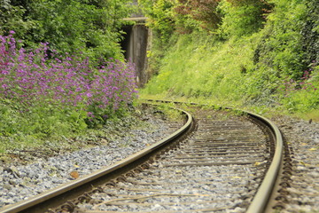Curved Train track