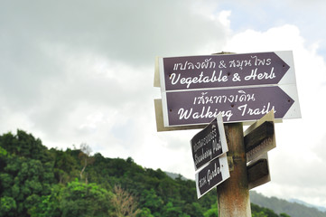 Wood guide posts with Thai words and English words