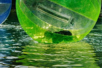 Children have fun inside plastic balloons on the water.