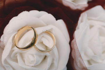 Gold and silver wedding rings