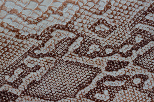 Texture of genuine leather close-up, embossed under the skin a reptile, with fashion pattern and matte surface. Natural shades, trendy background