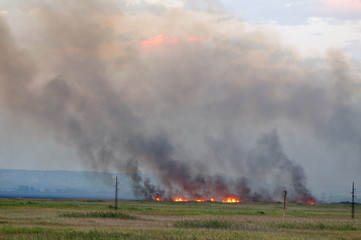 Fototapeta na wymiar Very strong fire in a field