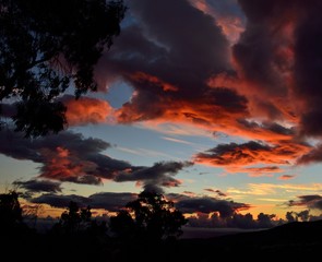 Awesome sunrise with colorful clouds and backlit tree in foreground
