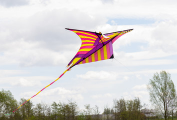 a coloured kite flies in the air
