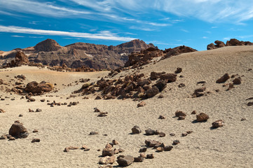 Desert landscape in the foothills of the Teide volcano. Island of Tenerife, Canary Islands.