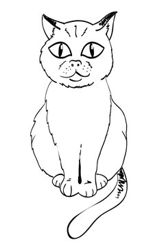 Cartoon image of cat. An artistic freehand picture.