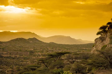  Desert of Eastern Ethiopia at sunset © Wollwerth Imagery