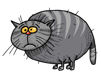 Cartoon image of fat cat. An artistic freehand picture.