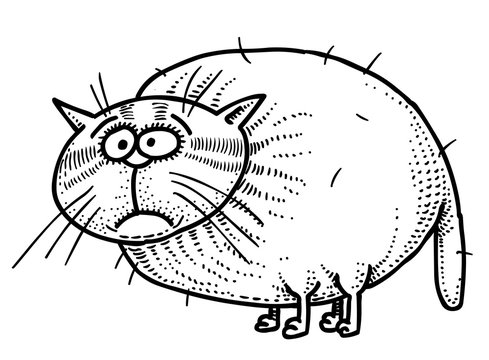 Cartoon image of fat cat. An artistic freehand picture.