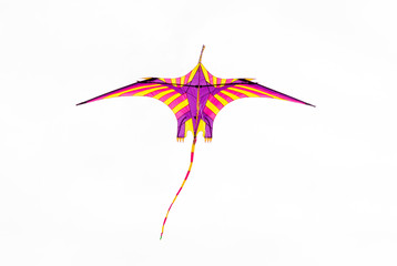 a coloured kite flies in the air