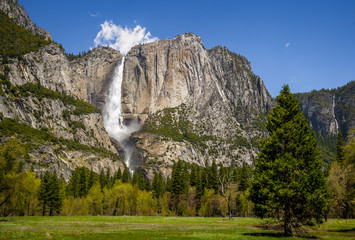 Waterfall with trees and meadow