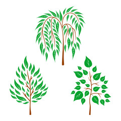 Fototapeta na wymiar Vector flat trees on white background. Logo design illustration
