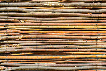 Tree branches. Natural wooden sticks background