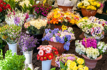 fresh flowers for sale at a Italian flower market