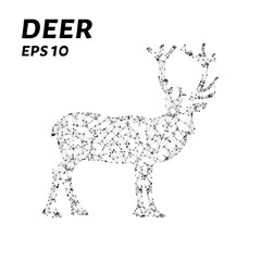 The deer consists of points, lines and triangles. The polygon shape in the form of a silhouette of a deer on a white background Vector illustration.