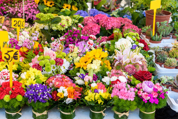 Fototapeta na wymiar fresh flowers for sale at a Italian flower market