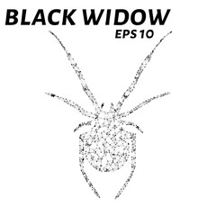 Black widow consists of points, lines and triangles. The polygon shape in the form of a silhouette of a spider on a white background. Vector illustration.