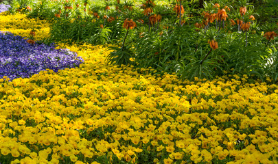 The Botanic Gardens of Trauttmansdorff Castle, Merano, south tyrol, Italy,