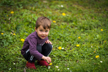 Cute little boy exploring flowers in green grass