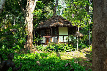 Fototapeta na wymiar Villa in the rainforest