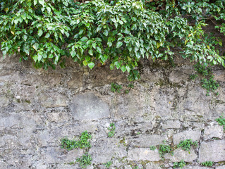 Stone wall background