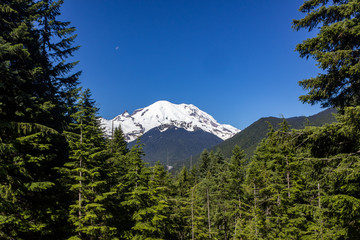 Obraz premium Mt. Rainier 