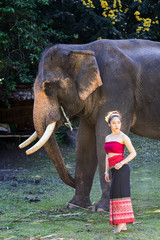 Pretty girl in traditional thai costumes and elephant