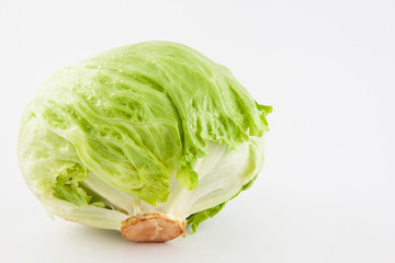 Crisphead lettuce (Lactuca sativa) isolated in white background