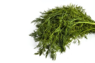 Dill plant, green dill, a bunch of dill, white background with dill pictures
