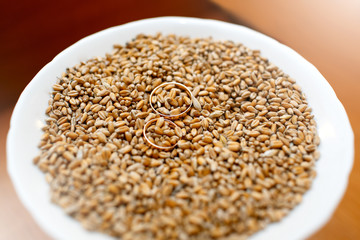 Wedding rings with wheat in a white plate