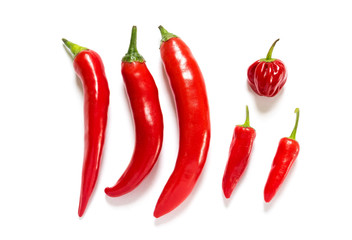 Different kind ofred hot chili pepper isolated on a white background