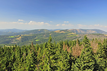 Beskid Śląski © Dariusz Pokus