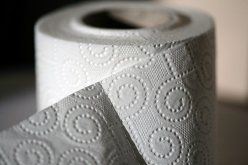 Close up of toilet paper roll.