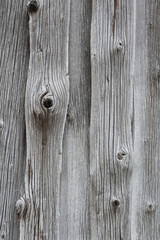 Fototapeta premium KnotholesWood