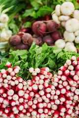 Fresh organic radish and beet-root on farmers market