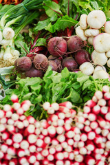 Fresh organic radish and beet-root on farmers market