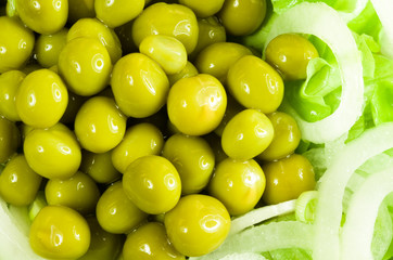 Macro view of the green beans with onion