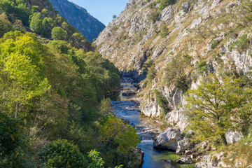 Fototapeta na wymiar The mountain stream Rio Cares runs through the valley in the foothills of the National Park Picos de Europa. Also the foothills are a popular hiking destination and leads along the Camino de Santiago