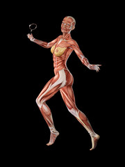 Femal muscle anatomy searching with 	magnifying glass 3D Illustration