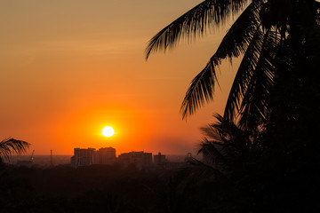 Obraz premium View of silhouette of palm trees and orange sky at sunset in Yangon, Myanmar.