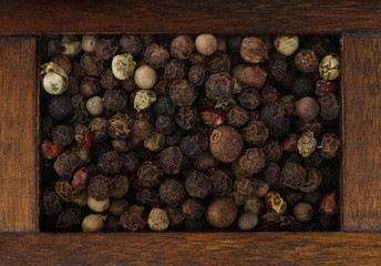 set of peppercorns in wooden box isolated